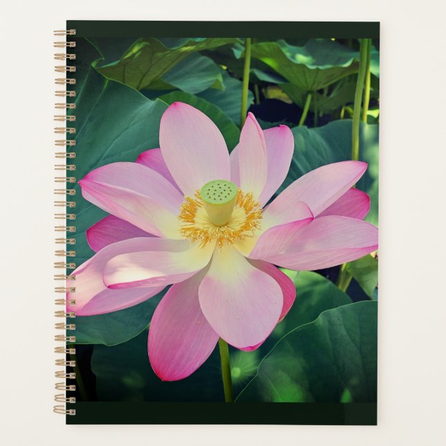 A vibrant lotus flower planner (Front)