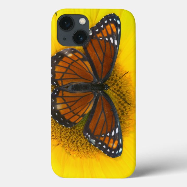 A Viceroy Butterfly | Limenitis Archippus Case-Mate iPhone Case (Back)