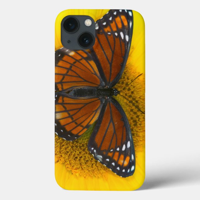 A Viceroy Butterfly | Limenitis Archippus Case-Mate iPhone Case (Back)