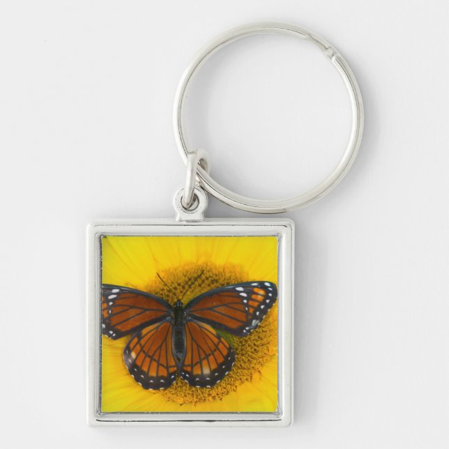 A Viceroy Butterfly | Limenitis Archippus Key Ring (Front)