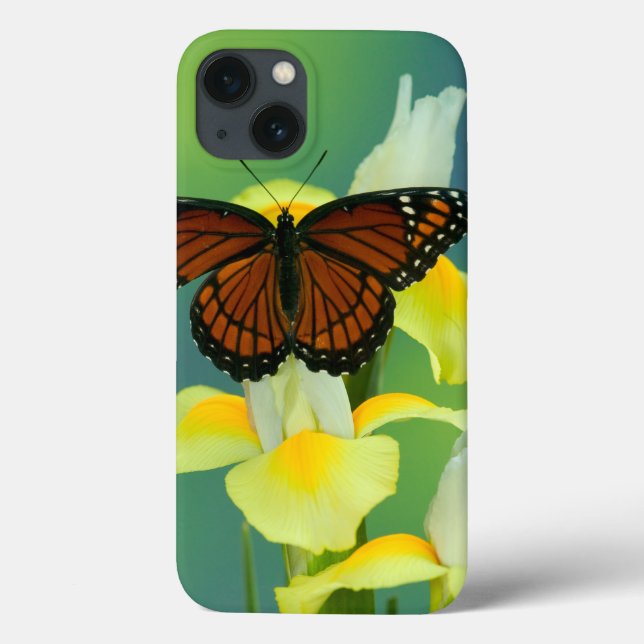 A Viceroy Butterfly on a Yellow Japanese Iris Case-Mate iPhone Case (Back)