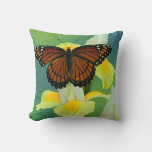 A Viceroy Butterfly on a Yellow Japanese Iris Cushion