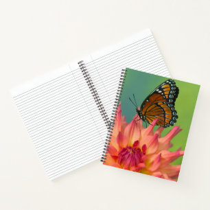 A Viceroy Butterfly on a Zinnia Notebook