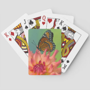 A Viceroy Butterfly on a Zinnia Playing Cards