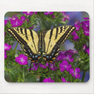 A Viceroy Butterfly on Dark Pink Flowers Mouse Pad