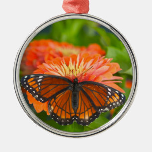 A Viceroy Butterfly on Orange Zinnias Metal Ornament