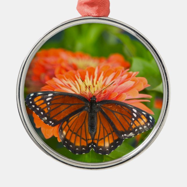 A Viceroy Butterfly on Orange Zinnias Metal Ornament (Front)