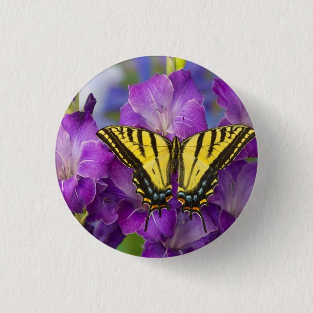 A Viceroy Butterfly on Purple Glads 3 Cm Round Badge (Front)