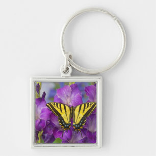 A Viceroy Butterfly on Purple Glads Key Ring