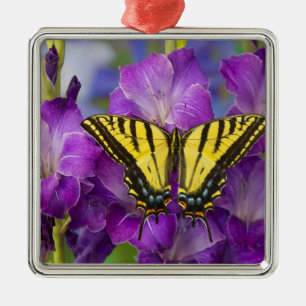 A Viceroy Butterfly on Purple Glads Metal Ornament