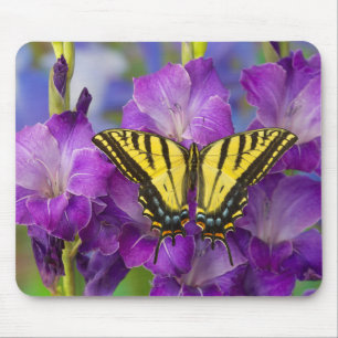 A Viceroy Butterfly on Purple Glads Mouse Pad
