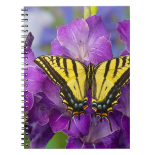 A Viceroy Butterfly on Purple Glads Notebook