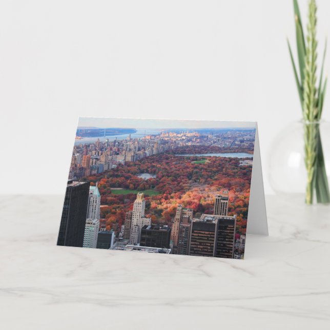 A view from above: Autumn in Central Park 01 Card (Front)