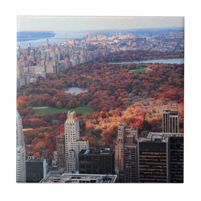 A view from above: Autumn in Central Park 01 Ceramic Tile (Front)