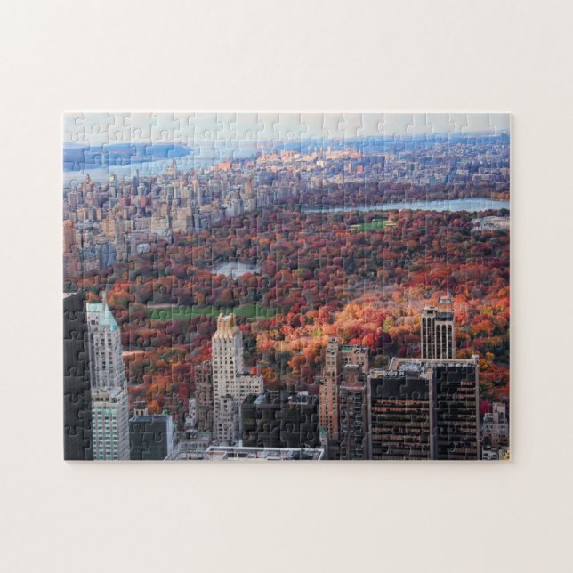 A view from above: Autumn in Central Park 01 Jigsaw Puzzle (Horizontal)