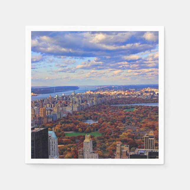 A view from above: Autumn in Central Park 01 Napkin (Front)