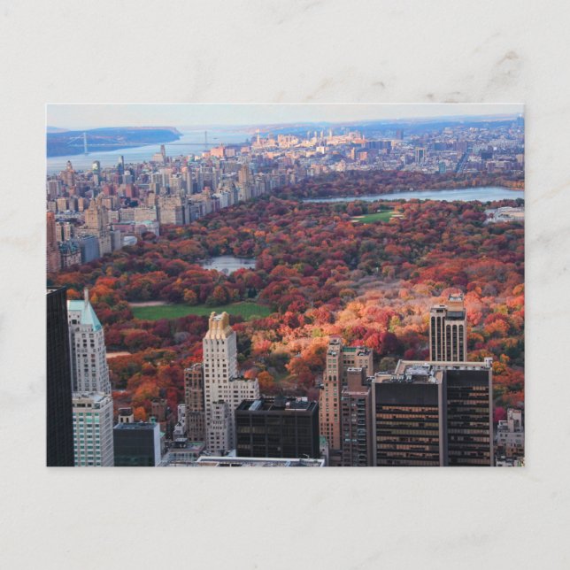 A view from above: Autumn in Central Park 01 Postcard (Front)
