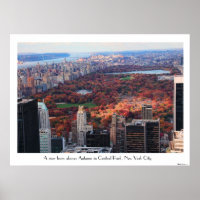 A view from above: Autumn in Central Park 01C