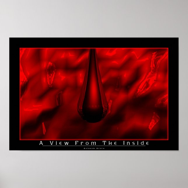 A View From The Inside Poster (Front)