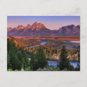 A View in the Morning Postcard