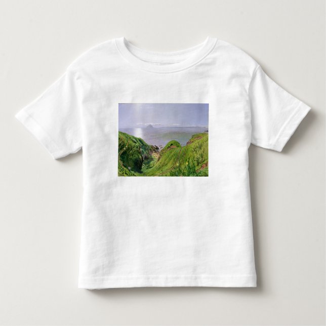 A View of Ailsa Craig and the Isle of Arran, 1860 Toddler T-Shirt (Front)