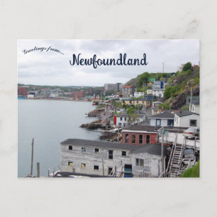 A View of St. John's Newfoundland Canada Postcard
