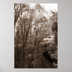 A View Of The Castle From The Forest Poster