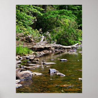 A View of the Greenbrier River Poster