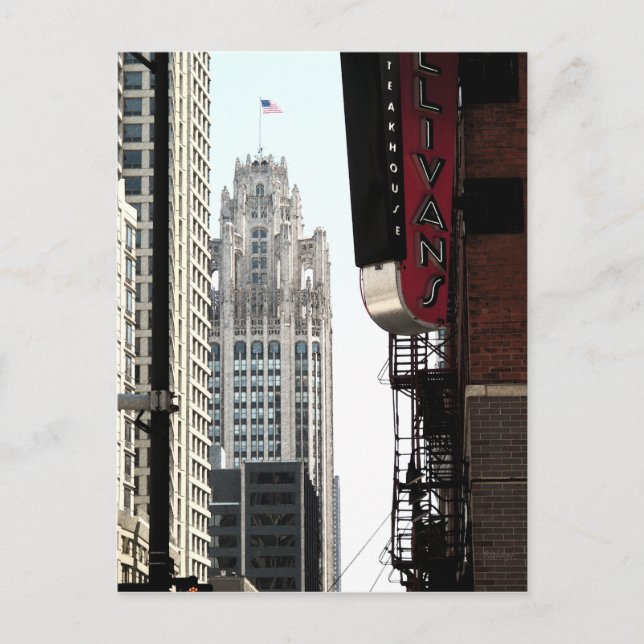 A View of the Wrigley Building Postcard (Front)