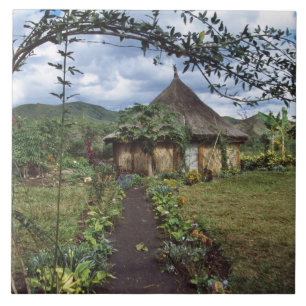 A village in the Highlands, Goroka, Papua New Tile