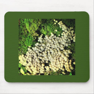 A Village of Mushrooms Mouse Pad