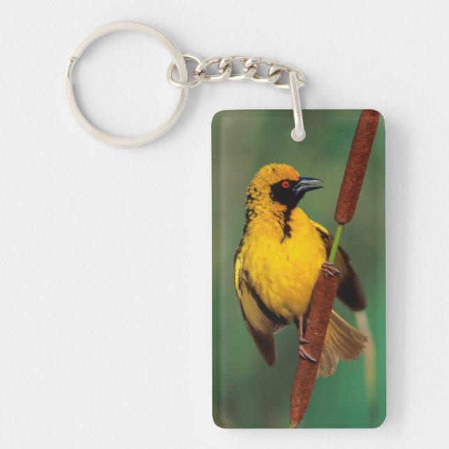 A Village Weaver calling while perched on a reed Key Ring (Front)