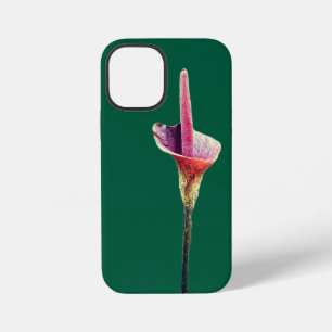 A voodoo-lily flower iPhone 12 mini case