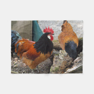 A Vorwerks Chicken pair, Rooster and Hen Eating Fleece Blanket