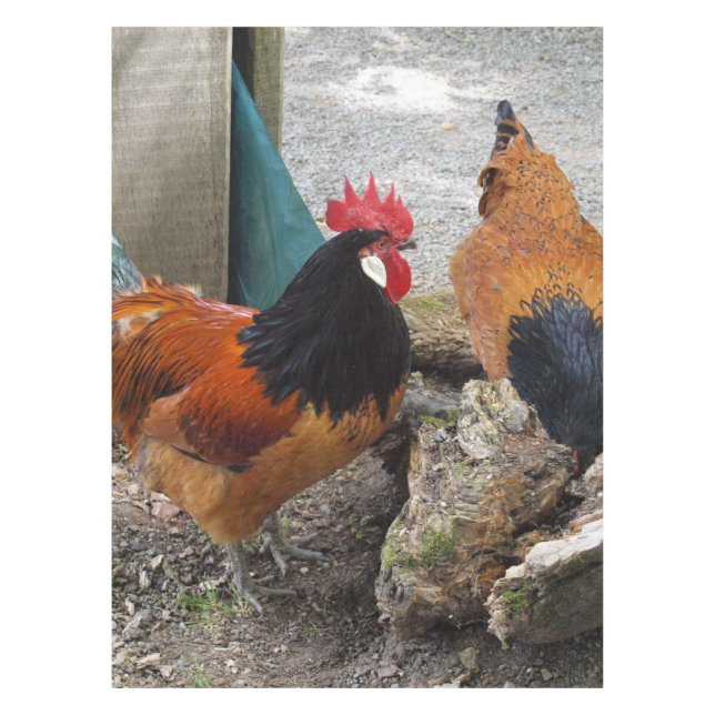 A Vorwerks Chicken pair, Rooster and Hen Eating Tablecloth (Front)