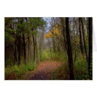 A Walk At Carriage Hill Preserve #31