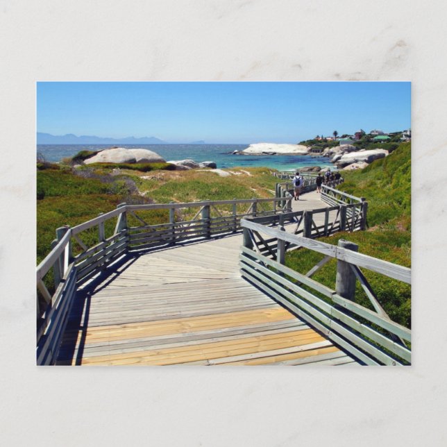 A walk down to Boulders Beach, South Africa Postcard (Front)