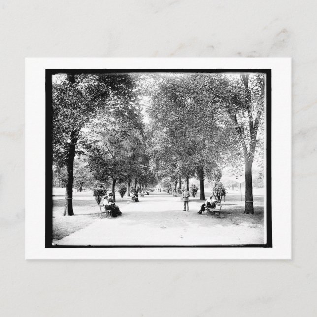 A Walk in Lincoln Park, Chicago, Illinois Vintage Postcard (Front)