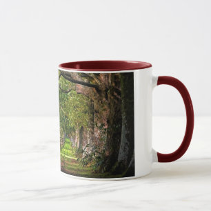 A Walk In The Park, Mount Edgcumbe Mug