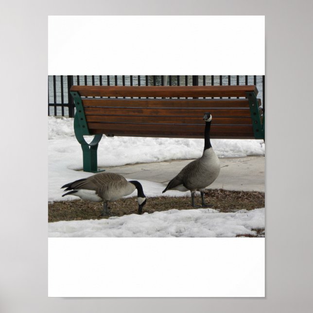 A Walk in the Park Poster (Front)