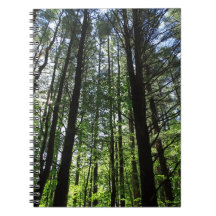 A Walk in the Woods Journal