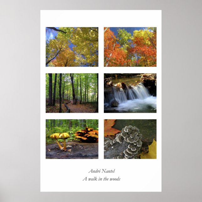 A walk in the woods, poster (Front)