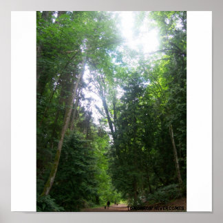 A Walk In The Woods Poster