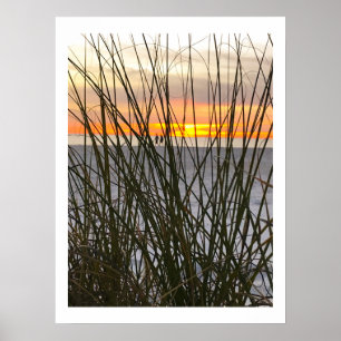 A Walk On The Beach Poster