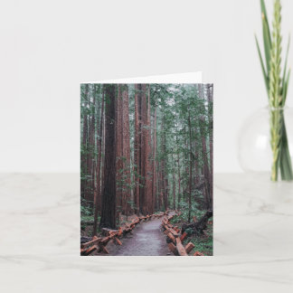 A walk through the redwoods note card