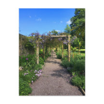 A Walk through Wisteria