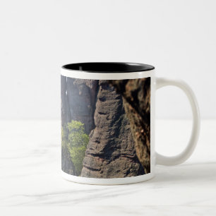 A walk throught Belogradchik Castle Ruins Two-Tone Coffee Mug