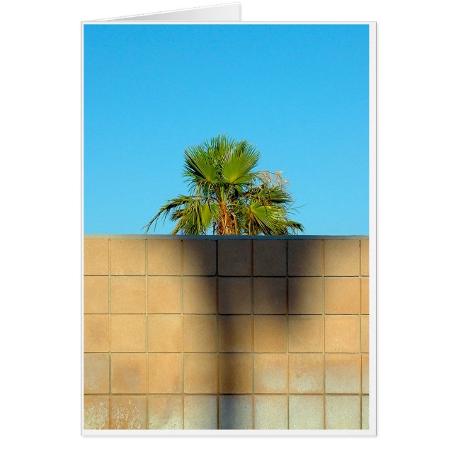 A Wall Off Wyman (Front)