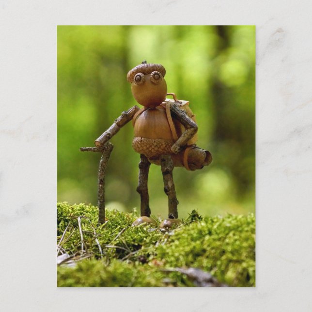 A wanderer on the trip. Summer camping Postcard (Front)