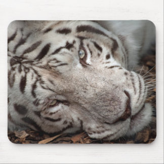 A Watchful Eye Mouse Pad